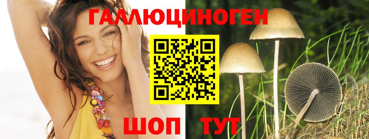 Галлюциногенные грибы GOLDEN TEACHER  Вход с VPN  Лабинск 